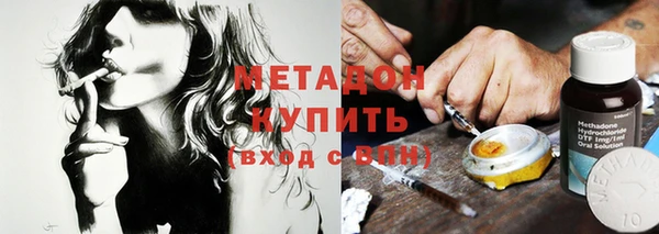шишки Абаза