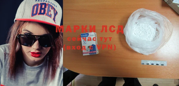 шишки Абаза