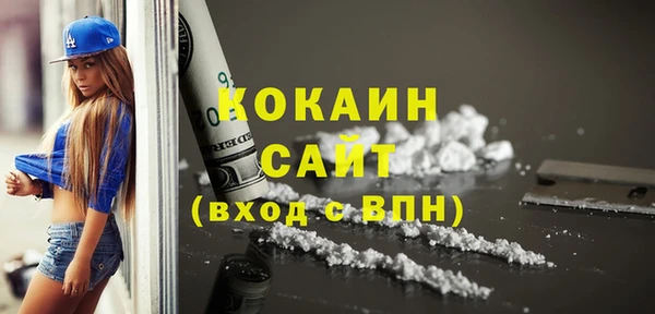 шишки Абаза
