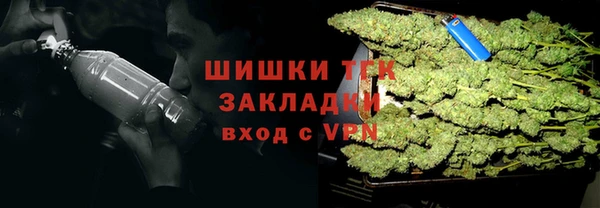 шишки Абаза