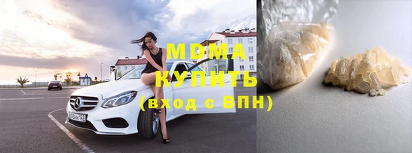 шишки Абаза