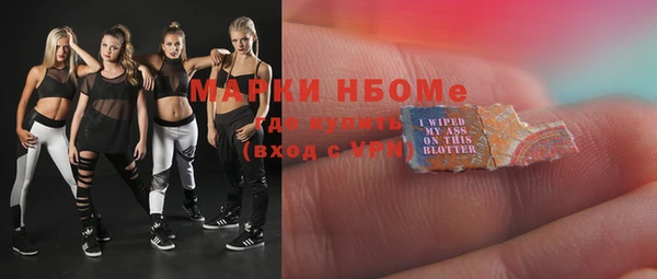 шишки Абаза