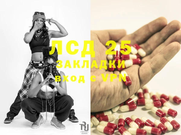 шишки Абаза