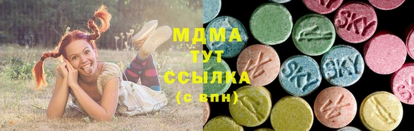 шишки Абаза